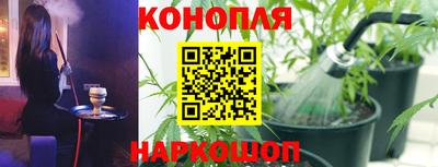 трава Новокубанск