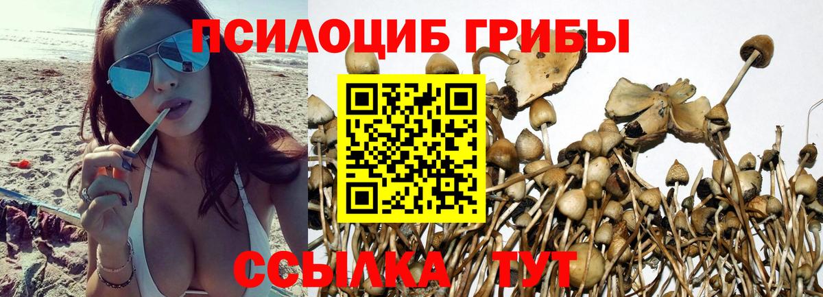 Галлюциногенные грибы GOLDEN TEACHER Фролово